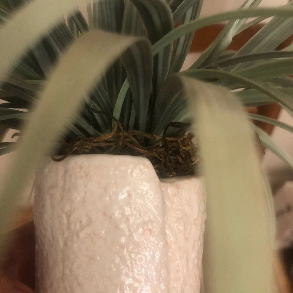 Decorative Faux plant decor in vase with seashell design beach vibes